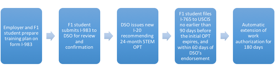 STEM OPT process